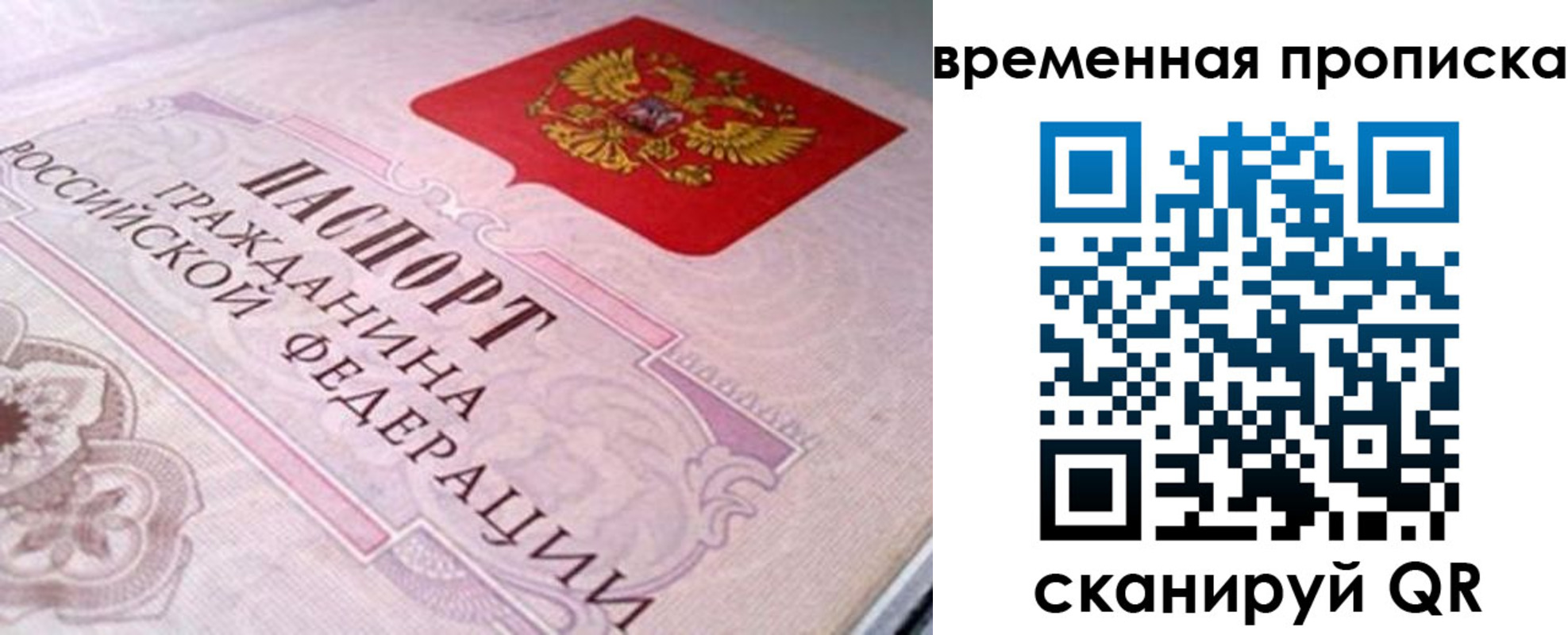 прописка гарантия в Сургуте